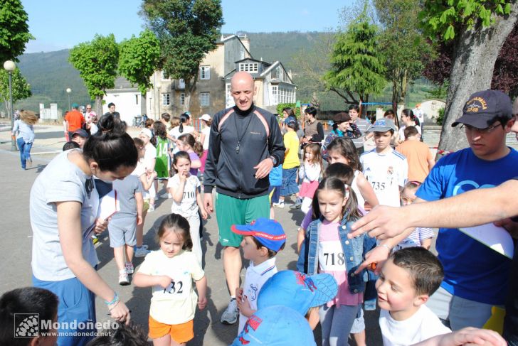 Día del Árbol
Fiesta del árbol en la Alameda
