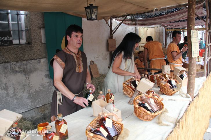 Mercado Medieval 2013
