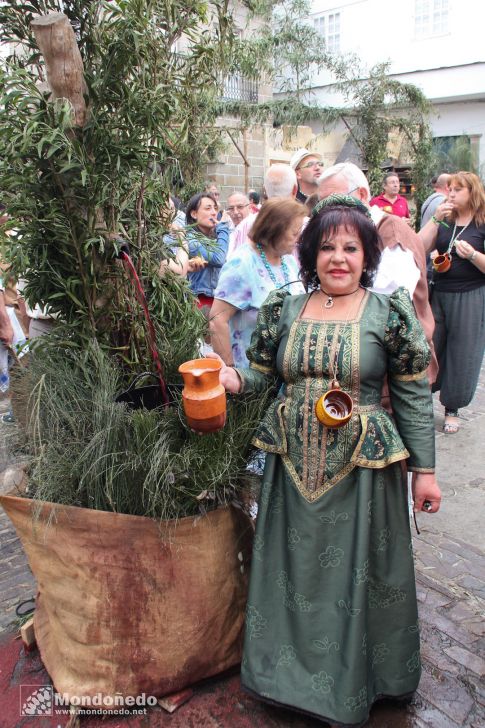 Mercado Medieval 2013
