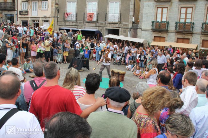 Mercado Medieval 2013
