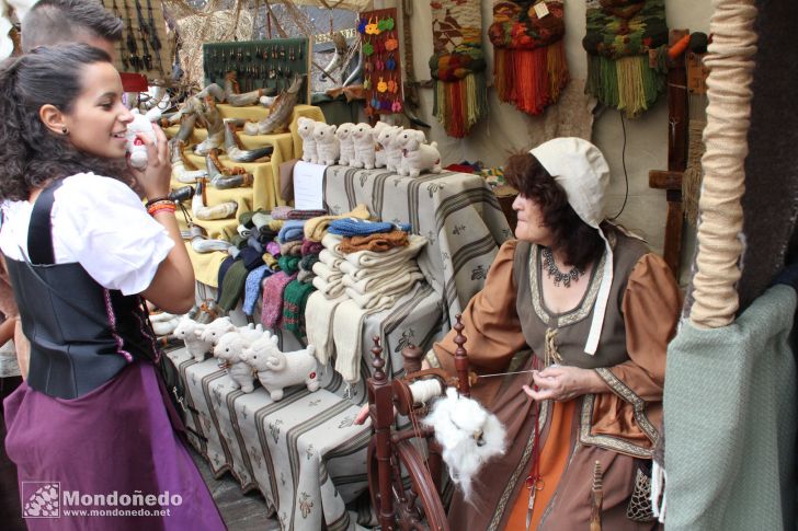 Mercado Medieval 2013
