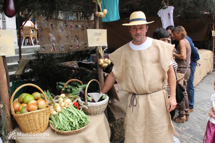 Mercado Medieval 2013
