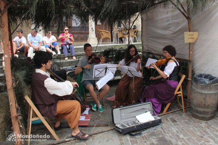 Mercado Medieval 2013
