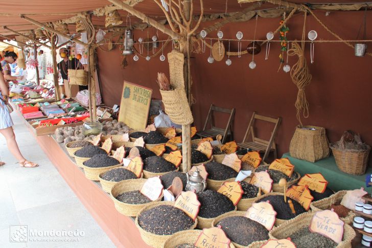 Mercado Medieval 2013
