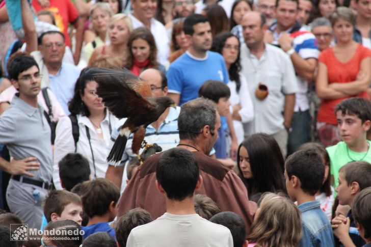 Mercado Medieval 2013
