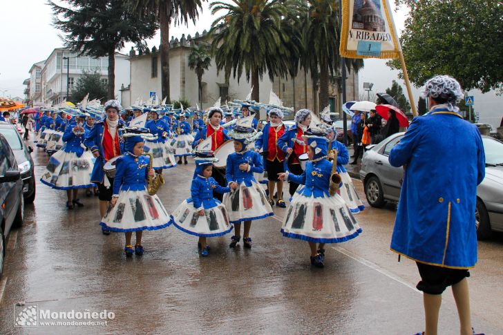 Antroido 2011
Desfile de disfraces
