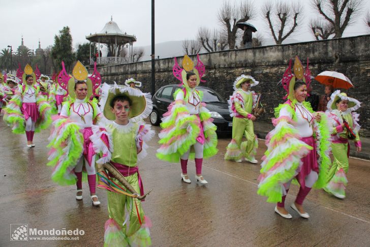 Antroido 2011
Desfile de disfraces
