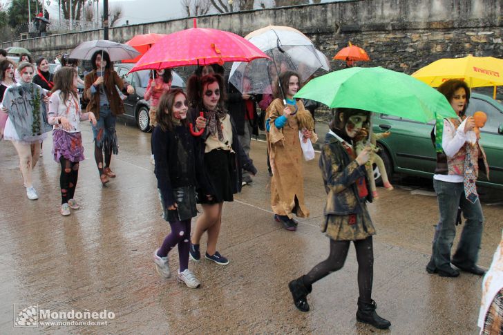 Antroido 2011
Desfile de disfraces
