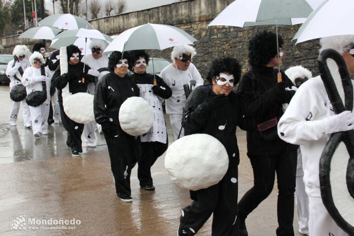 Antroido 2011
Desfile de disfraces
