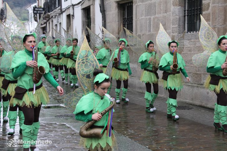 Antroido 2011
Desfile de disfraces
