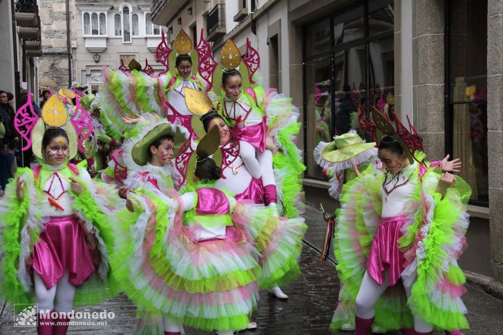 Antroido 2011
Desfile de disfraces
