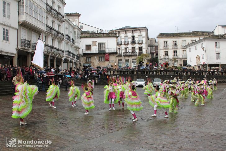 Antroido 2011
Desfile de disfraces
