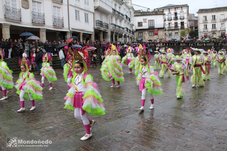 Antroido 2011
Desfile de disfraces
