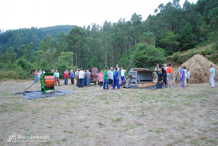 Couboeira
Malla tradicional
