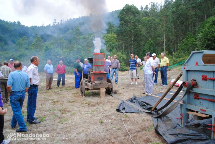 Couboeira
Malla tradicional
