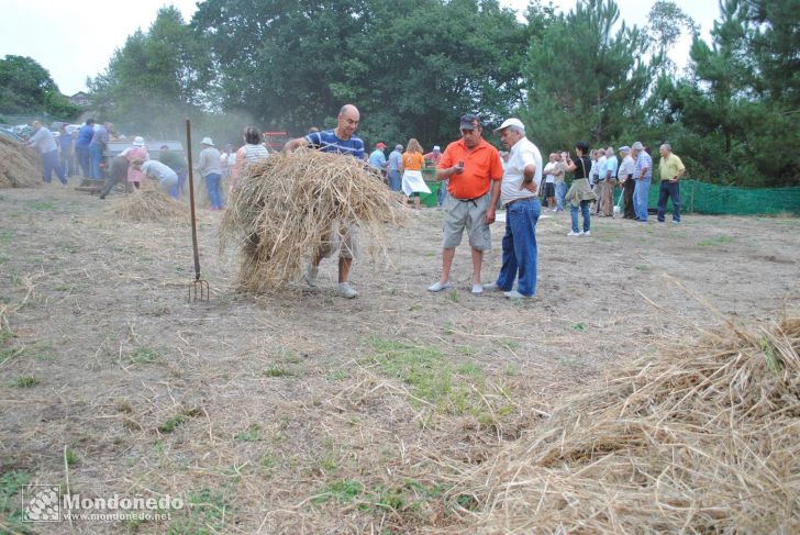 Couboeira
Malla tradicional
