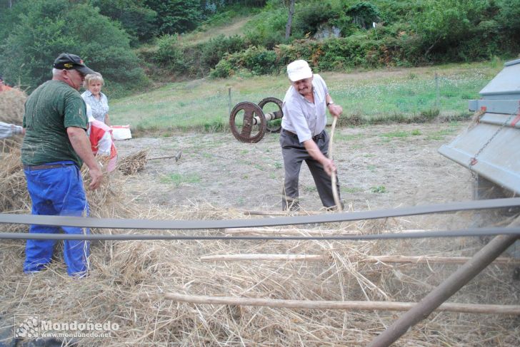 Couboeira
Malla tradicional
