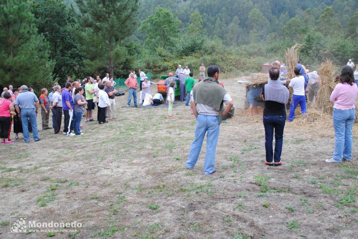 Couboeira
Malla tradicional
