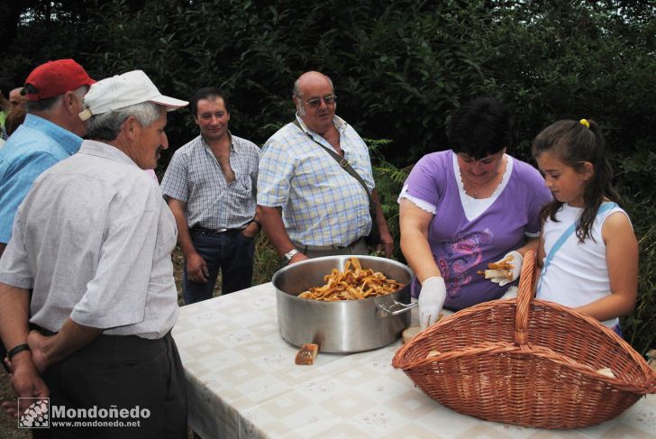 Couboeira
Malla tradicional
