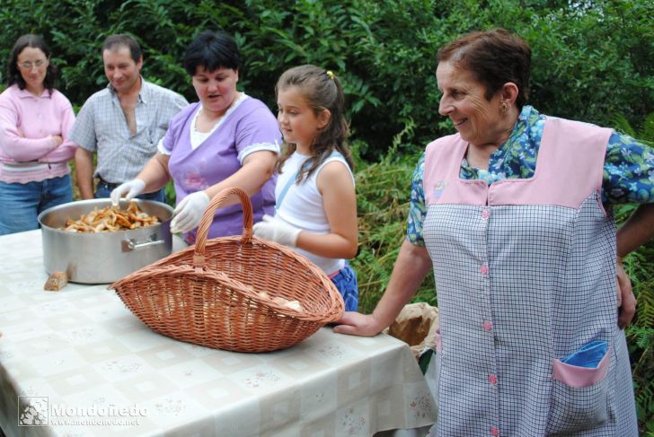 Couboeira
Malla tradicional
