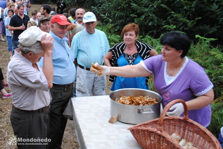 Couboeira
Malla tradicional
