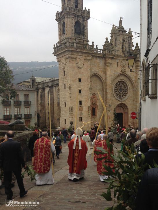 Domingo de Ramos
