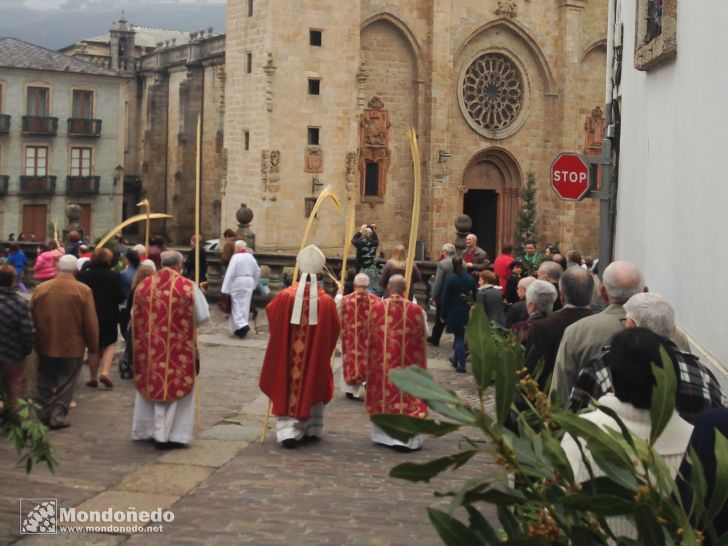 Domingo de Ramos
