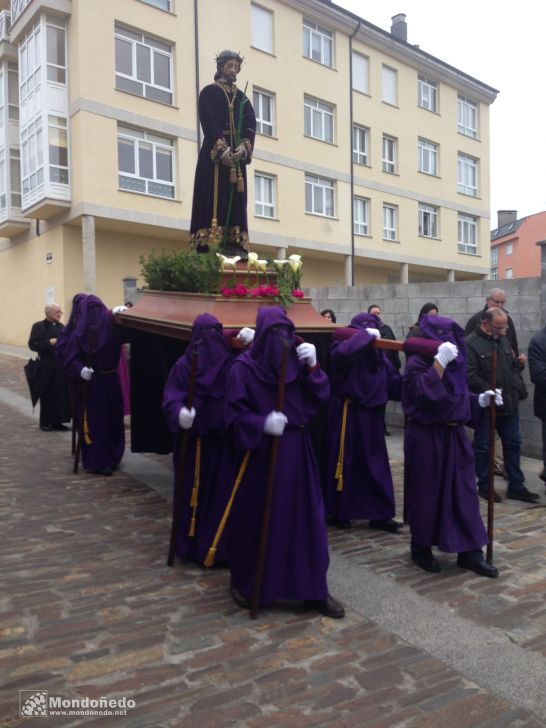 Domingo de Ramos
