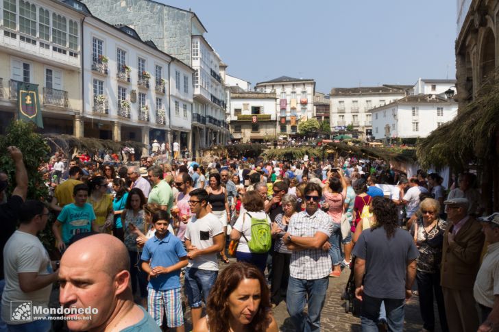 Mercado Medieval 2016
