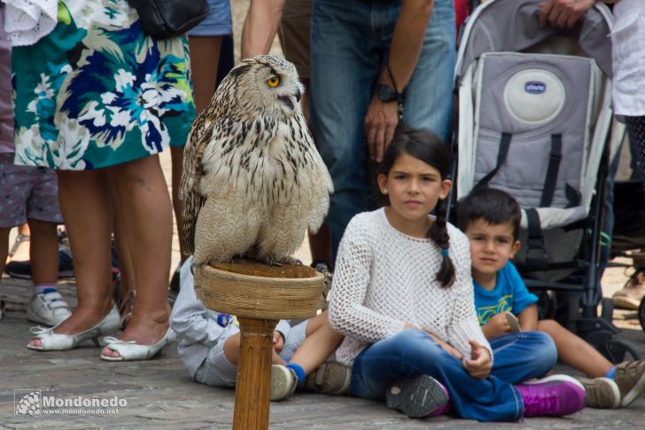 Mercado Medieval 2016
