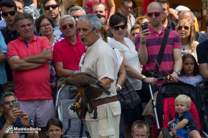 Mercado Medieval 2016
