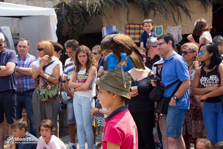 Mercado Medieval 2016
