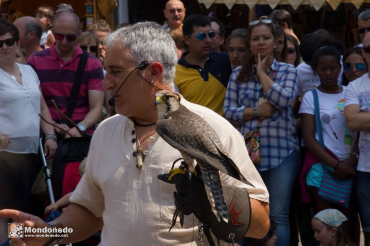 Mercado Medieval 2016
