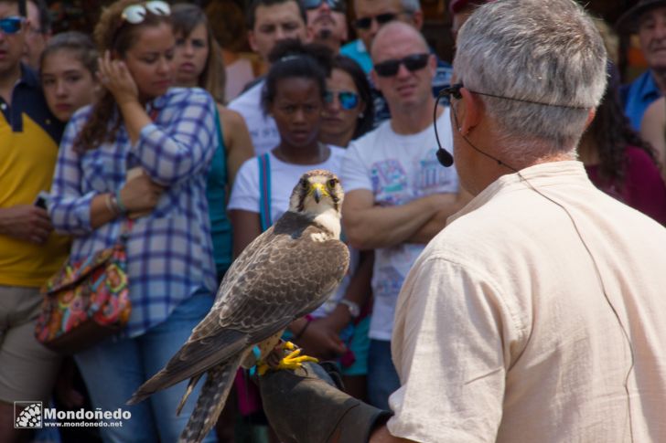 Mercado Medieval 2016
