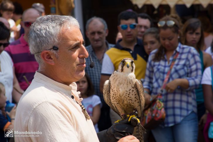 Mercado Medieval 2016
