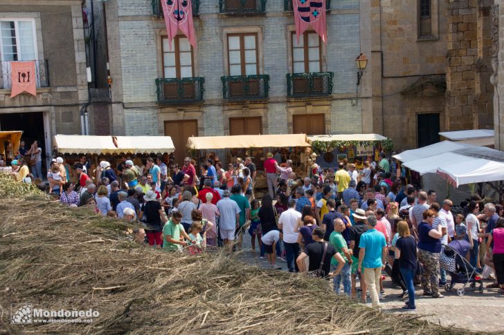 Mercado Medieval 2016
