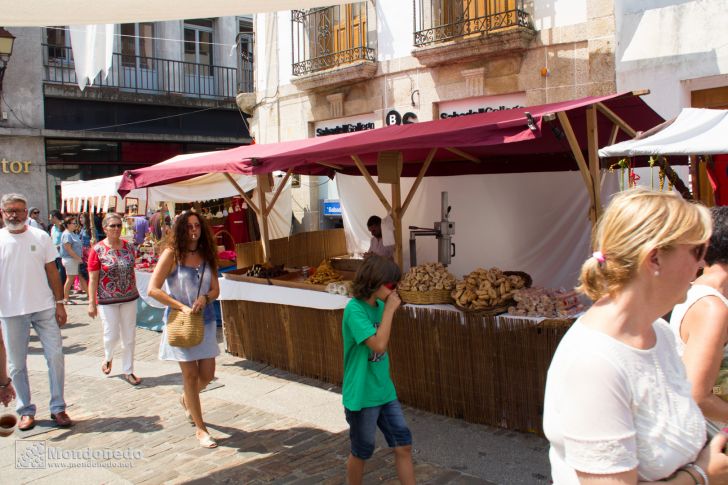 Mercado Medieval 2016
