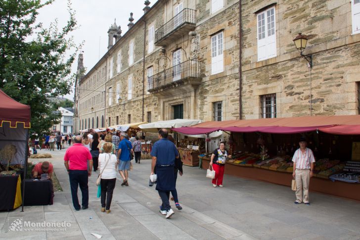 Mercado Medieval 2016
