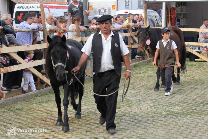 As San Lucas 2011 (16-Oct)
Concurso Morfológico Pura Raza Gallega
