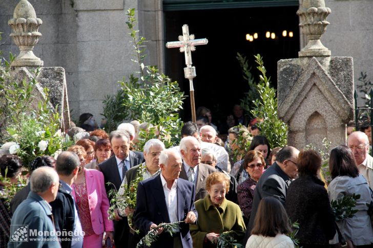 Domingo de Ramos
Procesión de Ramos
