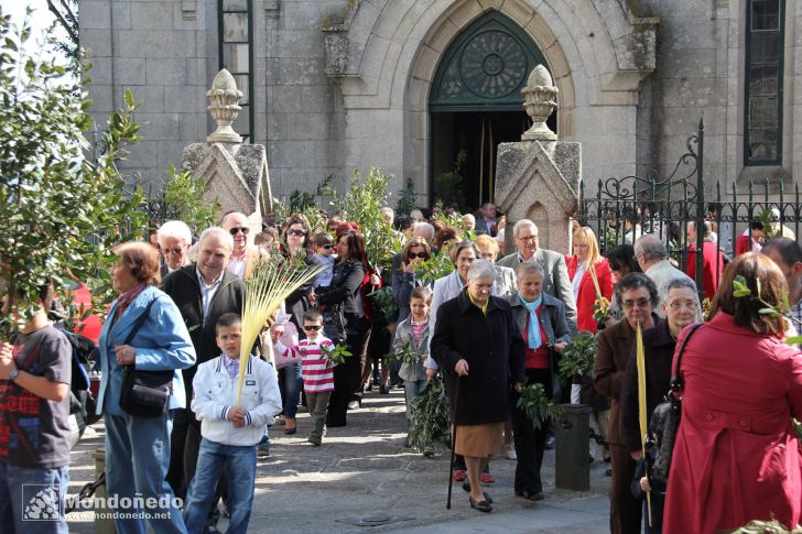 Domingo de Ramos
Procesión de Ramos
