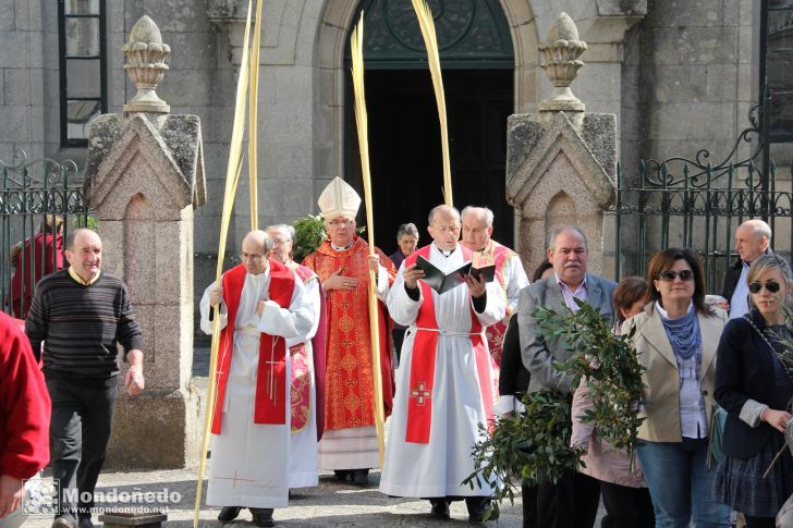 Domingo de Ramos
Procesión de Ramos
