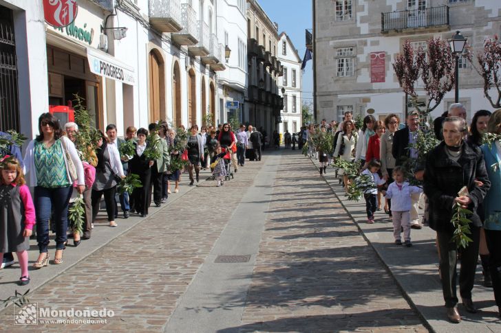 Domingo de Ramos
Procesión de Ramos
