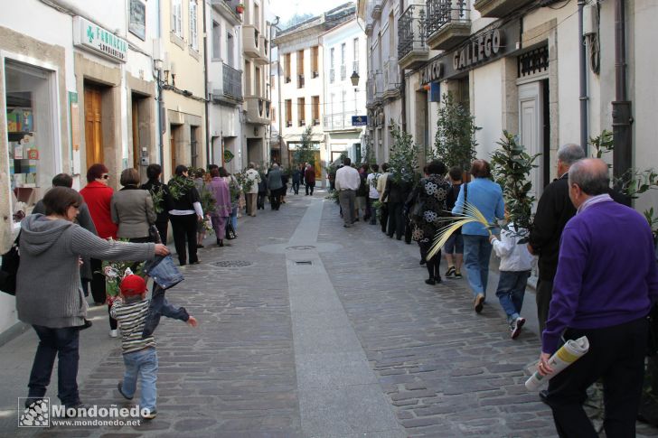 Domingo de Ramos
Procesión de Ramos
