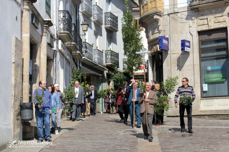 Domingo de Ramos
Procesión de Ramos
