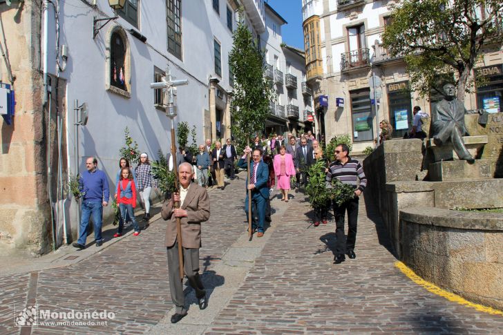 Domingo de Ramos
Procesión de Ramos
