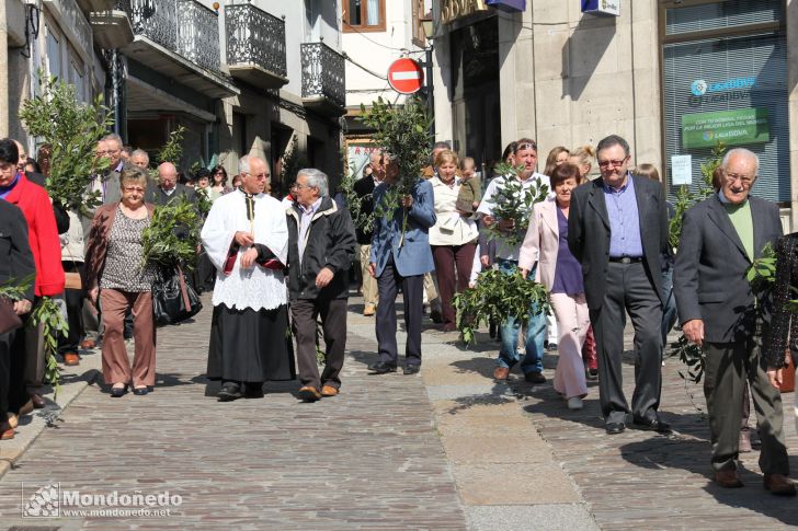 Domingo de Ramos
Procesión de Ramos
