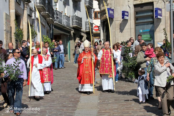 Domingo de Ramos
Procesión de Ramos
