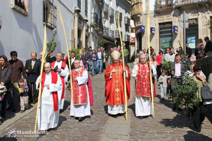 Domingo de Ramos
Procesión de Ramos
