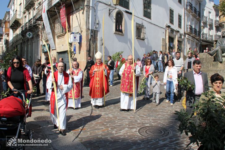 Domingo de Ramos
Procesión de Ramos
